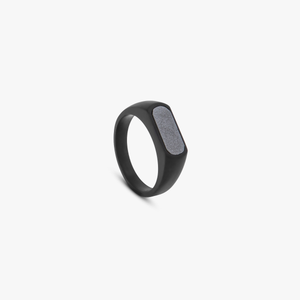 Black IP stainless steel RT Signet ring with hematite