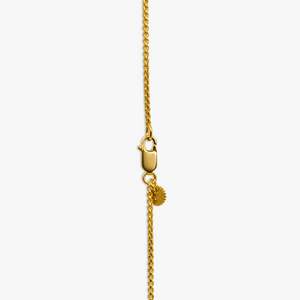 Capri Dagger Rosary Necklace With 18K Yellow Gold Plated Silver & Tiger Eye